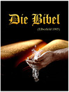 Cover image for Die Bibel, Elberfeld, 1905